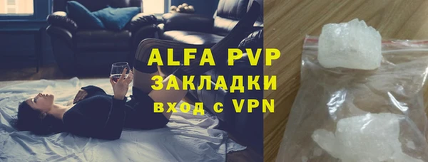 гидра Абаза