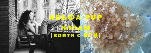 гидра Абаза