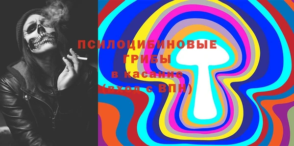 гидра Абаза