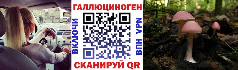 хочу наркоту  Агрыз  Псилоцибиновые грибы Magic Shrooms 